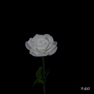 フラワースティックライト　ローズ