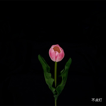 ピンク