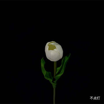 ホワイト