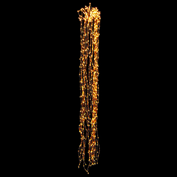 クラリスフラッシュ200 ゴールド