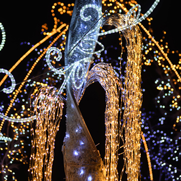 クラリスフラッシュ200 ゴールド