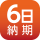 納期6日