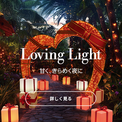 Loving Light 甘く、きらめく夜に